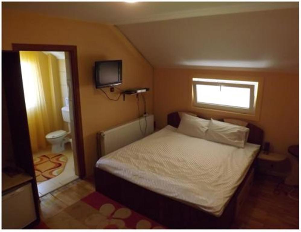 Pensiunea Pentru Tine Prietene Arcani 部屋 写真