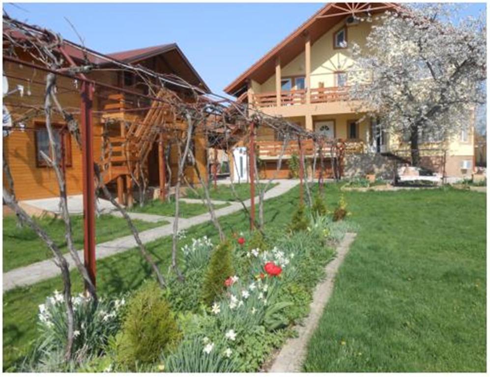 Pensiunea Pentru Tine Prietene Arcani 部屋 写真
