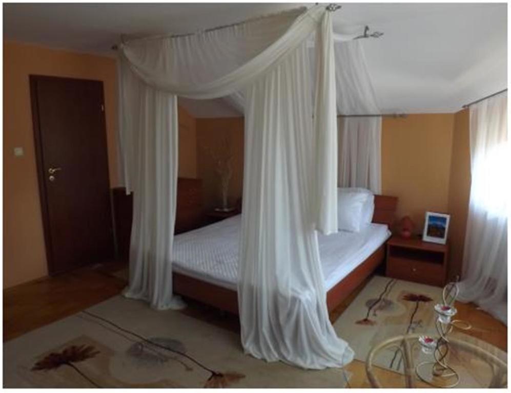 Pensiunea Pentru Tine Prietene Arcani 部屋 写真