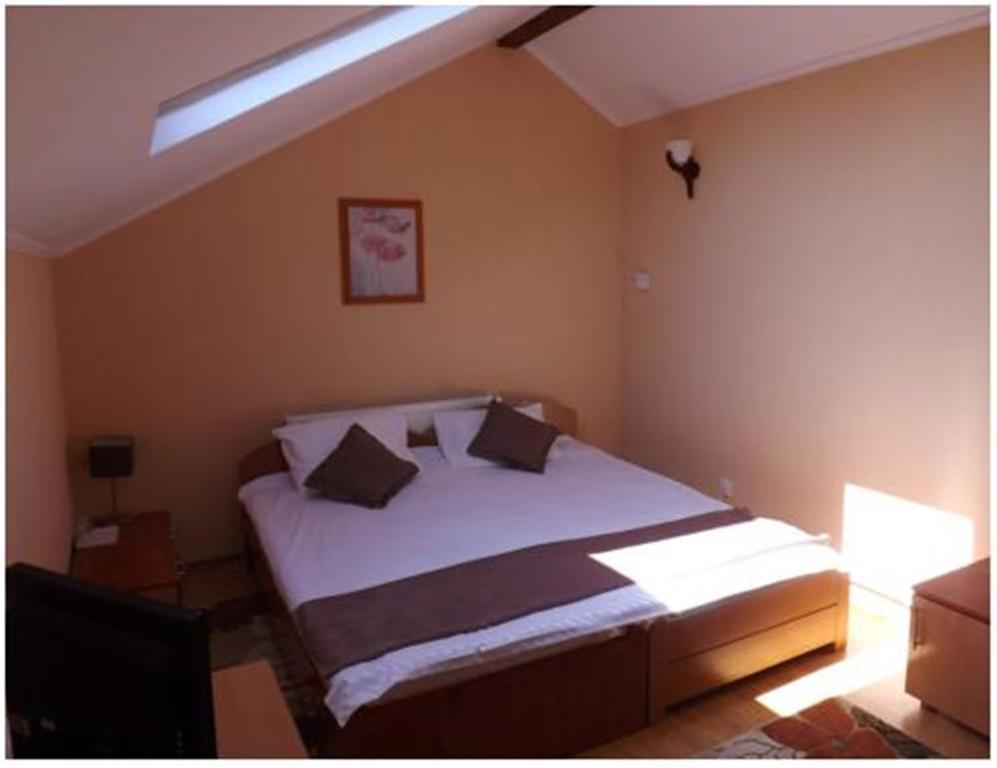 Pensiunea Pentru Tine Prietene Arcani 部屋 写真
